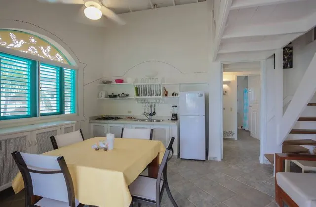 Playa Colibri apartment kitchen